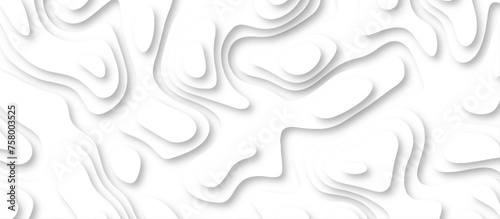 3d render, abstract white paper background. Paper cut vector art background banner texture. multi layer cutout geometric pattern on vector, Abstract soft white background with waves.
