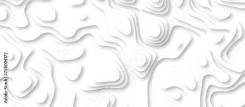 3d render, abstract white paper background. Paper cut vector art background banner texture. multi layer cutout geometric pattern on vector, Abstract soft white background with waves.