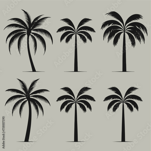 palm tree silhouette set flat...