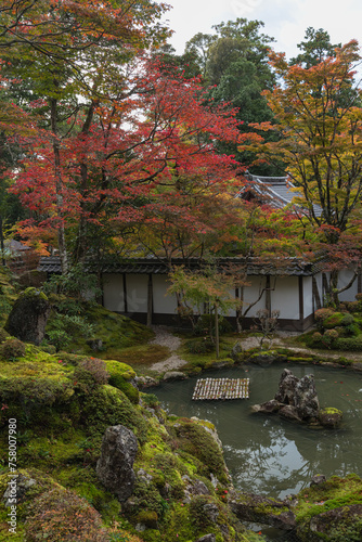 Fototapeta Naklejka Na Ścianę i Meble -  日本　滋賀県犬上郡甲良町にある西明寺の本坊庭園、蓬莱庭と紅葉
