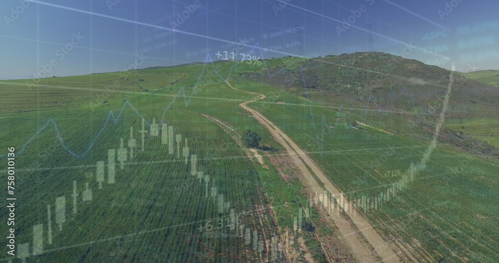 Fototapeta premium Image of financial data processing over hills