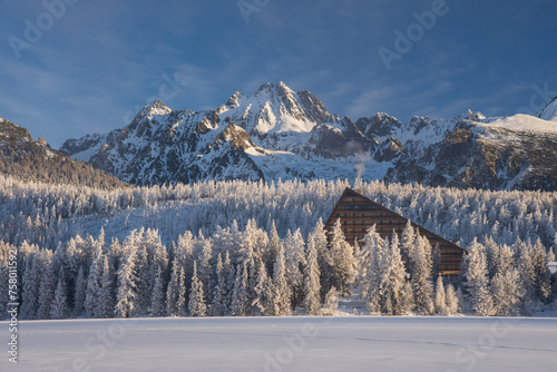 Popular hotel in Strbske pleso, High Tatras, Slovakia. Frozen lake in the foreground with letterspace, sonw covered mountains and trees in the bacground no people.