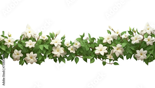 white spring flowers isolated on transparent background cutout