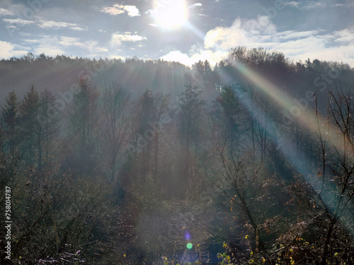 Shining sun over a forest