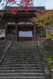 日本　滋賀県犬上郡甲良町にある西明寺の二天門と参道沿いの紅葉