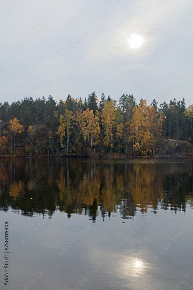 Fall lake shore with forest reflection on water surface in cloudy autumn weather, Meiko Nature Reserve, Finland. Fall lake shore with forest reflection on water surface in cloudy autumn weather, Meiko Nature Reserve, Finland.