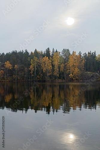 Fall lake shore with forest reflection on water surface in cloudy autumn weather, Meiko Nature Reserve, Finland.