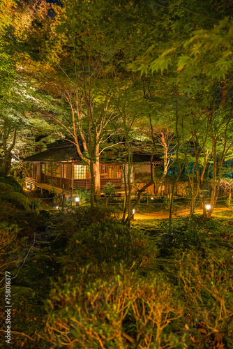 日本　滋賀県近江八幡市安土町にある教林坊のライトアップされた遠州庭園の紅葉と本堂