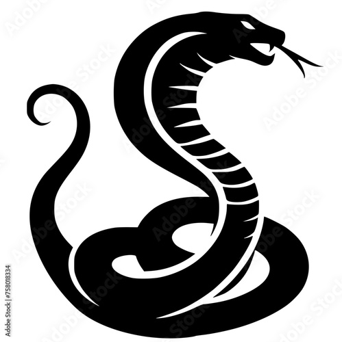 black and white snake photo