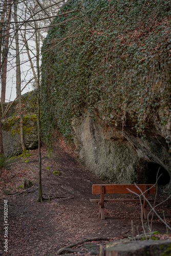 Nature's Refuge: Bench Beneath Ivy-Clad Rock Formation