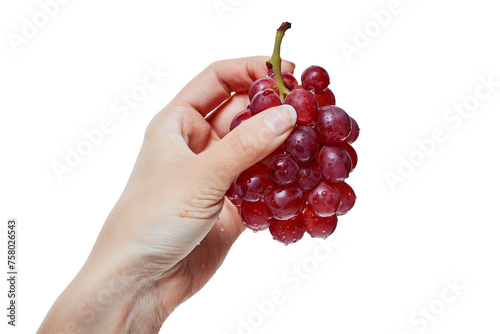 hand holding red grapes , cut out transparent isolated on white background ,PNG file