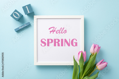 Spring awakening scene! Top view of "Hello Spring" frame, March 1st on calendar cubes, fresh tulips bunch on a pastel blue setting. Ad-ready space