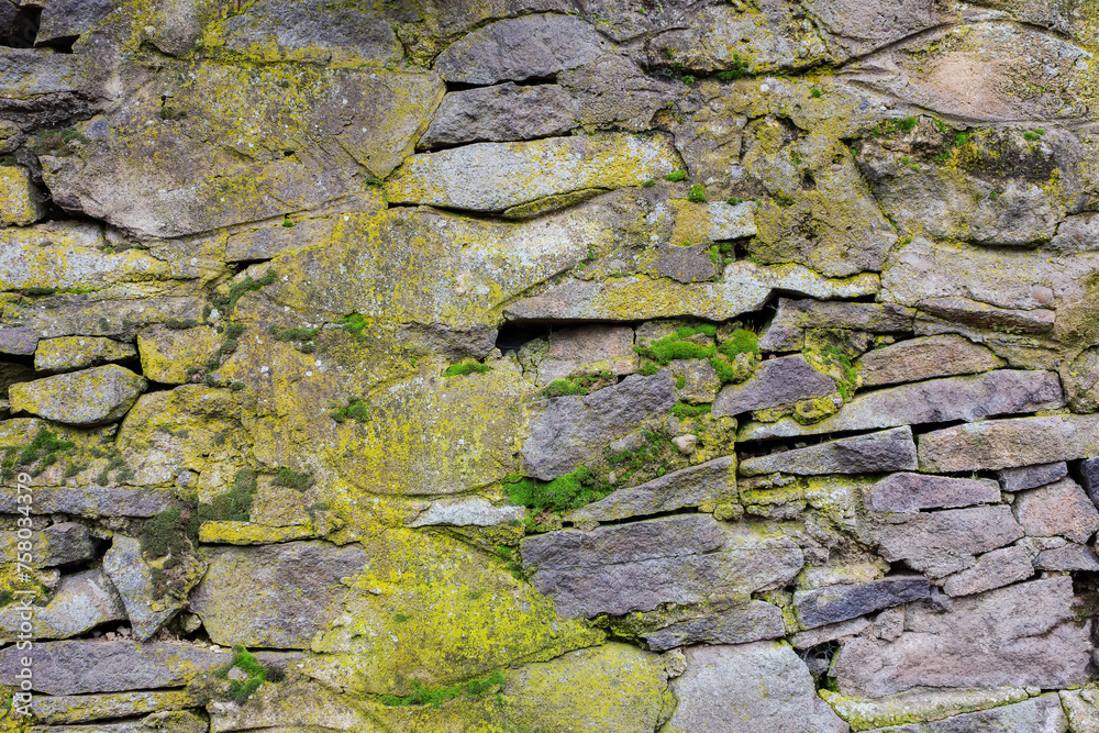 ancient stone wall. moss and plants on the grunge surface ancient stone wall. moss and plants on the grunge surface