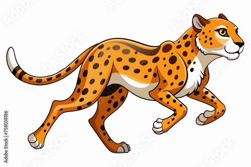 a Chita tiger running