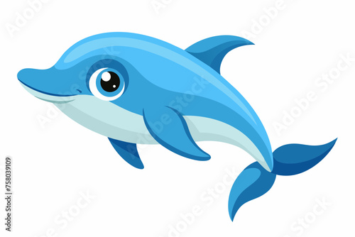 cute dolphin