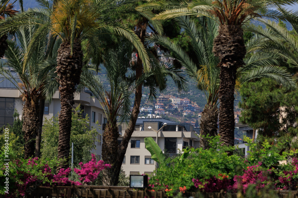 Southern cityscape, view of buildings and houses, palm trees and mountains, in public places in Turkey, sunny summer day in a resort town