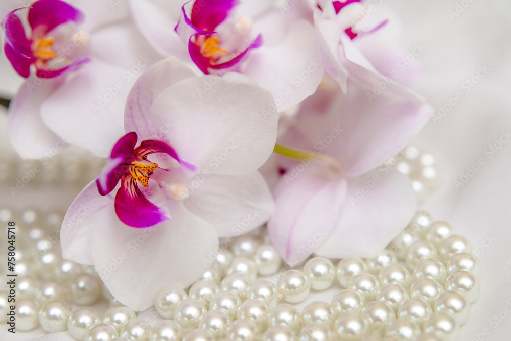 The branch of purple orchids on white fabric background
