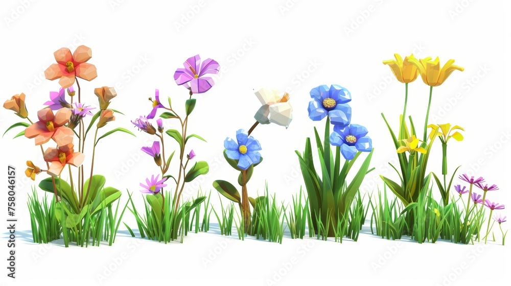 Wildflowers 3d realistic modern set. Spring and summer flowers