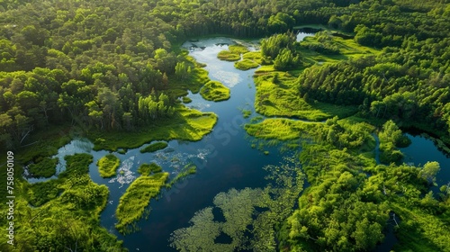 A conservation land mosaic, illustrating various ecosystems contributing