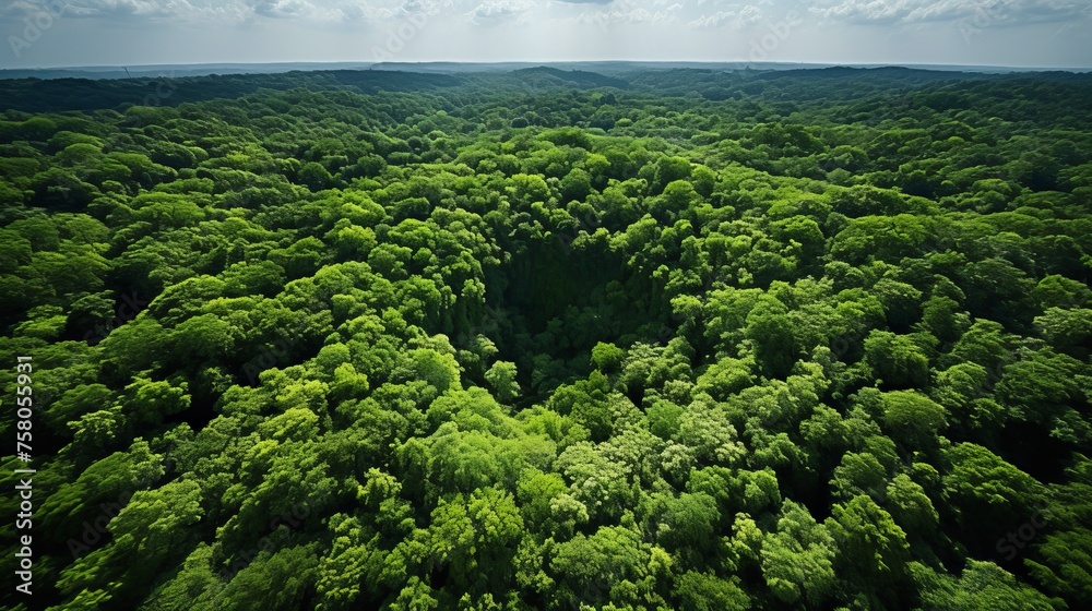 Obraz premium Drone view of forest canopy absorbing co2 for carbon neutrality and net zero emissions support