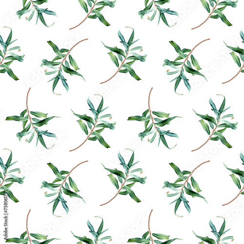 Wallpaper Mural Watercolor botanical seamless pattern with sea buckthorn leaves branches. Hand drawn illustration on isolated background for wrapping wallpaper fabric textile Torontodigital.ca