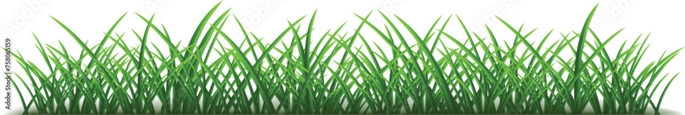 vectors of grass realistic vectors of grass realistic