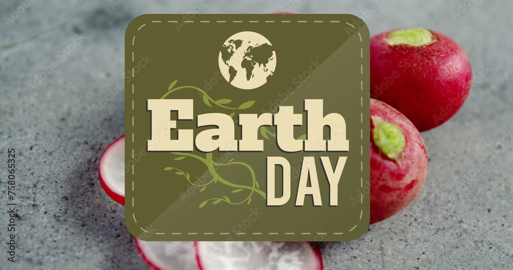 Naklejka premium Image of earth day text banner against close up of red radish on grey surface