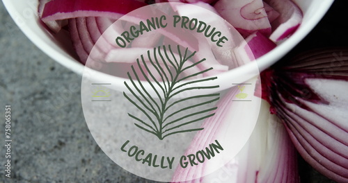 Image of organic produce locally grown text banner over bowl of chopped onions on grey surface
