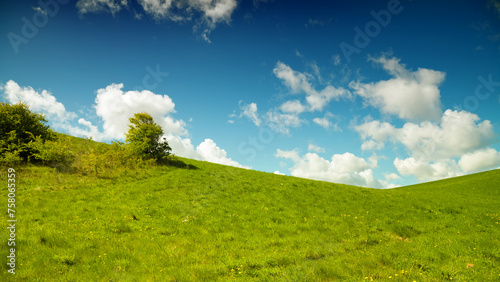 Green meadow with a blue sky