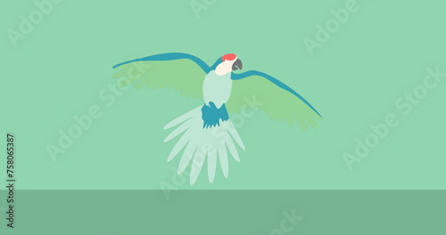 Image of green and blue parrot icon on green black background