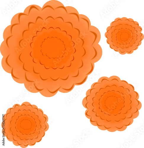 illustration of a set of orange flowers