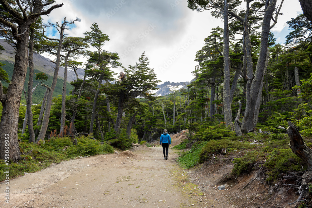 woman contemplating and walking through beautiful landscape of mountains forests rivers and bridges lifestyle of traveling ushuaia argentina end of the world