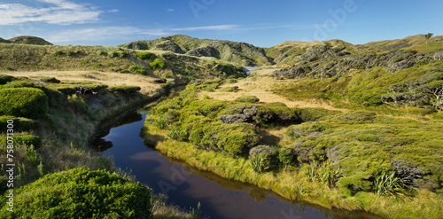 Wharariki Stream  Tasman  S  dinsel  Neuseeland