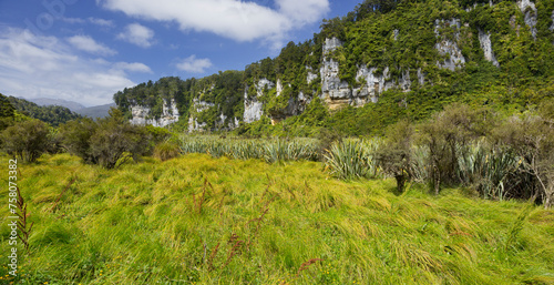 Bullock Creek, Paparoa Nationalpark, West Coast, Südinsel, Neuseeland