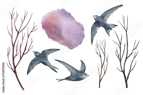Fotografía Set of watercolor illustrations of tree branches, swifts, birds and watercolor stains