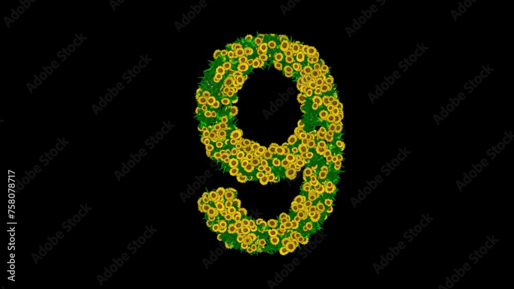 Number 9 with yellow daisy flowers and green grass on plain black background Number 9 with yellow daisy flowers and green grass on plain black background