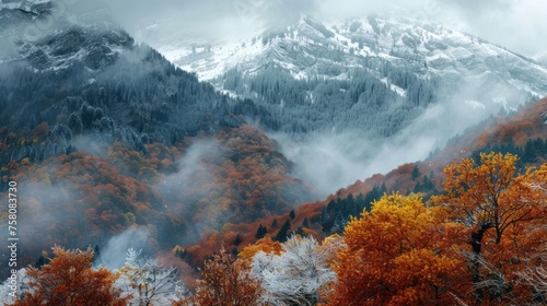 Frosty serenity: misty autumn woods blanketed in snow atop mountain peaks