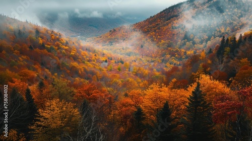 Vibrant autumn foliage blankets the scenic landscapes of new hampshire, new england