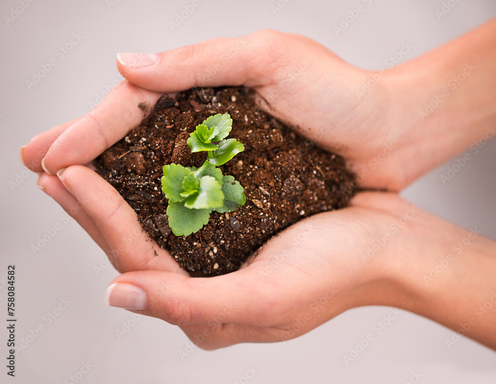 Hands, plant and soil with nature, growth and hope for sustainability and future. Person, environment and leaf for support, accountability and future development or green energy with startup Hands, plant and soil with nature, growth and hope for sustainability and future. Person, environment and leaf for support, accountability and future development or green energy with startup