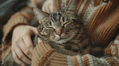 Cozy home scene where people are petting a cat curled up in their arms