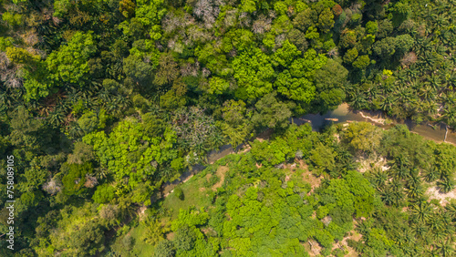 Aerial view of bamboo rafts on Sok river in Khao Sok National Park, Surat Thani, Thailand