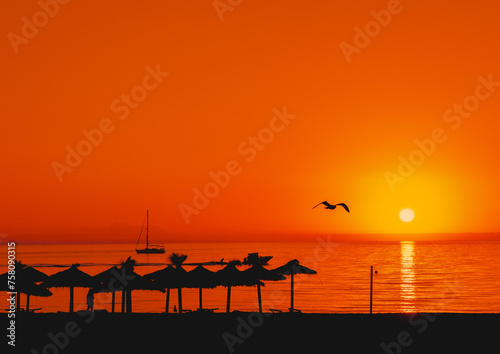 Sunrise over a tropical island beach with a sea bird gliding past