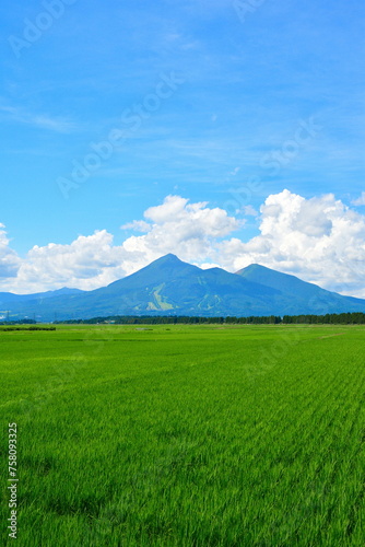 夏の会津磐梯山（福島県）
