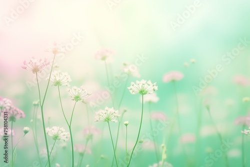 gradient blurred background, light green and pink, simple, minimalist, summer flowers © sirisak