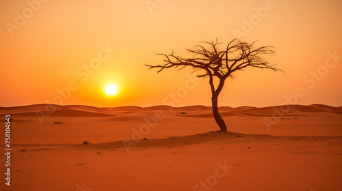 Beautiful sunset landscape, dry tree branches silhouette in the desert