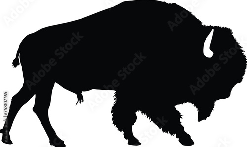 Buffalo Silhouette.