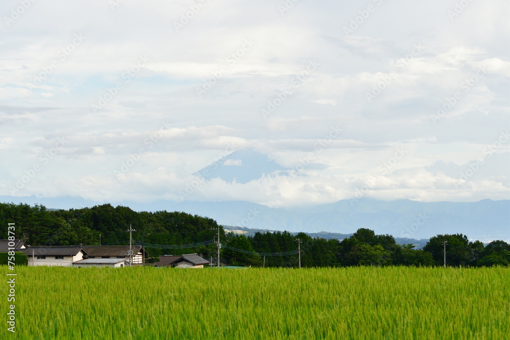 北杜市の田園風景と富士山（山梨県）