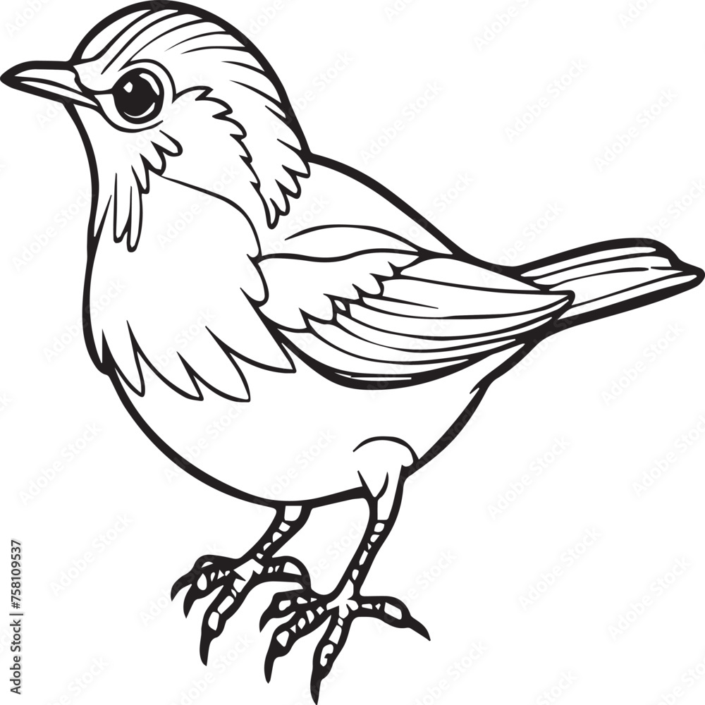 Obraz premium Bird coloring pages. Bird outline vector for coloring book