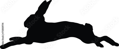 Running rabbit silhouette.