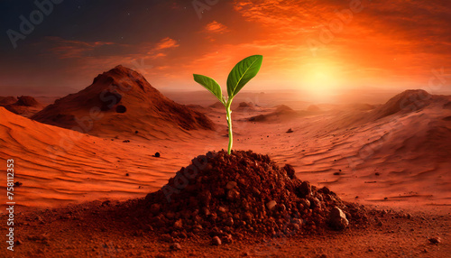 Sprout on red planet Mars surface, selective focus, sunset